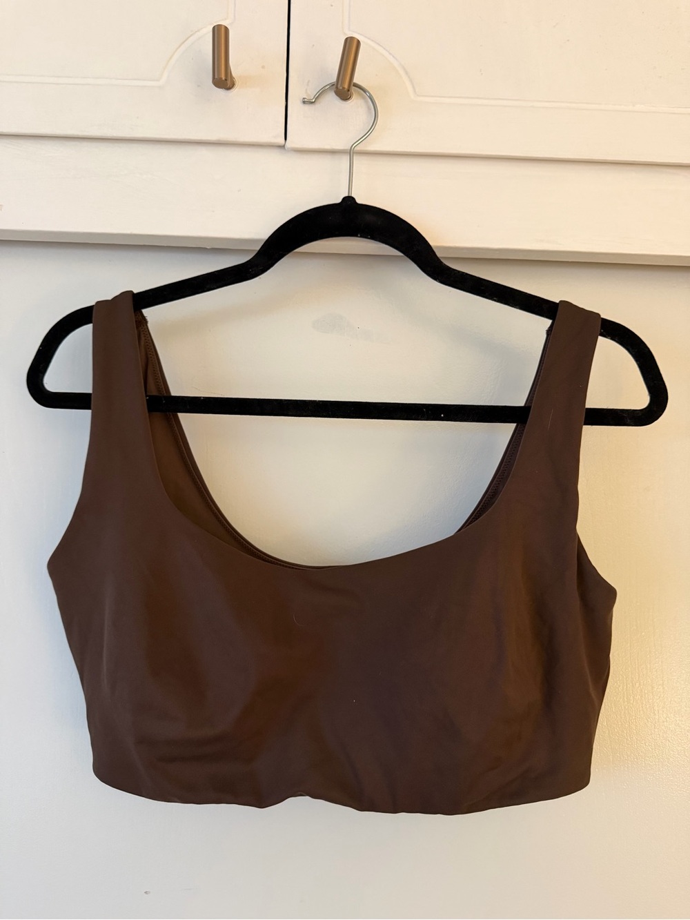 Nike SKIMS Brown sports bra